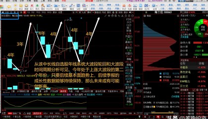 宝莱特股票(宝莱特股票股吧东方财富)
