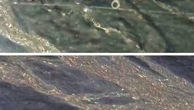 守护戈壁滩上的历史印记