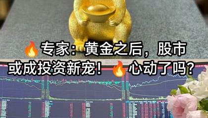 金龙鱼股票股吧(唯一被大摩重仓买入的股票是)