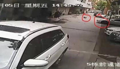 特斯拉碾压幼童案二审维持原判，车主获刑10个月 车主：将考虑上诉