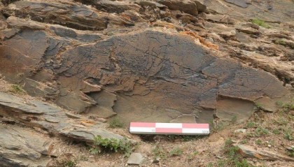 青海“秦始皇遣使采药昆仑石刻”陷入真假争议，涉事各方回应