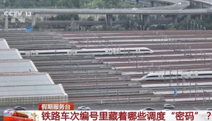 铁路车次编号里的字母和数字是啥意思？坐过站咋办？一文了解