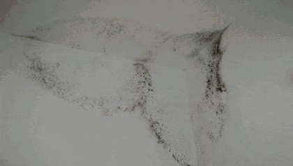 “真的绝望”！最近，很多深圳人家中被悄悄入侵！速自查这些地方……