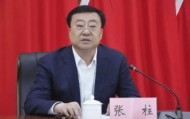 张柱任农业农村部部长，张成中任应急管理部部长