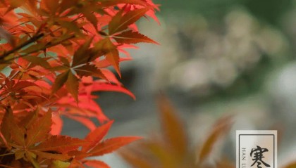 节气文化·寒露｜空庭得秋长漫漫 寒露入暮愁衣单