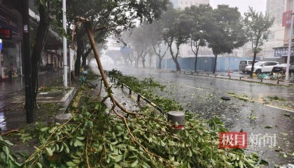 台风桦加沙袭击珠海：记者眼镜被大风吹跑，街边树枝断落，单车成排倒地