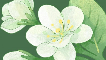 板扎！央视一套黄金时段86分钟聚焦昆明！