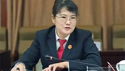 原专职委员杨琴，被查