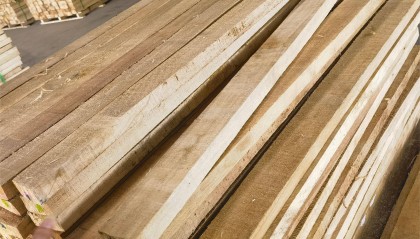 木头云集官网：木材交易的领航者与革新者