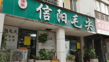 河南唯一！81.78亿元的信阳毛尖，凭什么成为“国家队”重点培育对象？