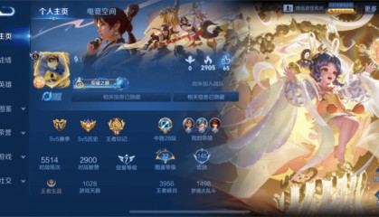 青岛女律师起诉《王者荣耀》匹配机制，游戏团队：属商业秘密，无法公开