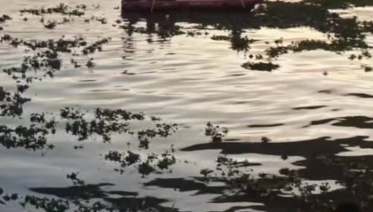 湖北武汉有市民跳桥？长江海事局：属实，位于鹦鹉洲大桥和武汉长江大桥，一位已被救起