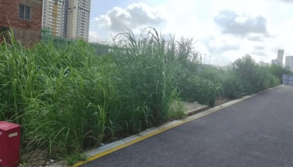 广西南宁一小区业主与物业互相起诉！律师：主张物业费减免需长期全面取证