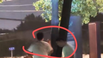 为找“知了猴” 市民拿着手电筒照树？专家：有药用价值 但不要过量捕捉