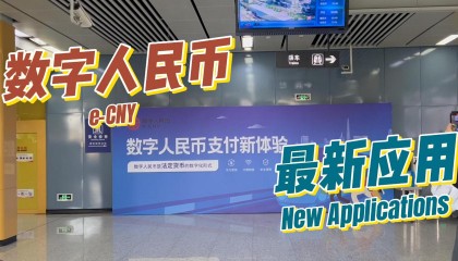 数字货币是什么(数字货币是什么形式的货币)