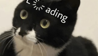 后怕！店里发现白色粉末，广东一老板被判刑！很多人正在喝