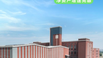 中原环保股票(中原环保股票行情)