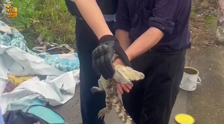 吓一大跳！浙江一男子钓鱼竟然钓到了…异常凶猛！