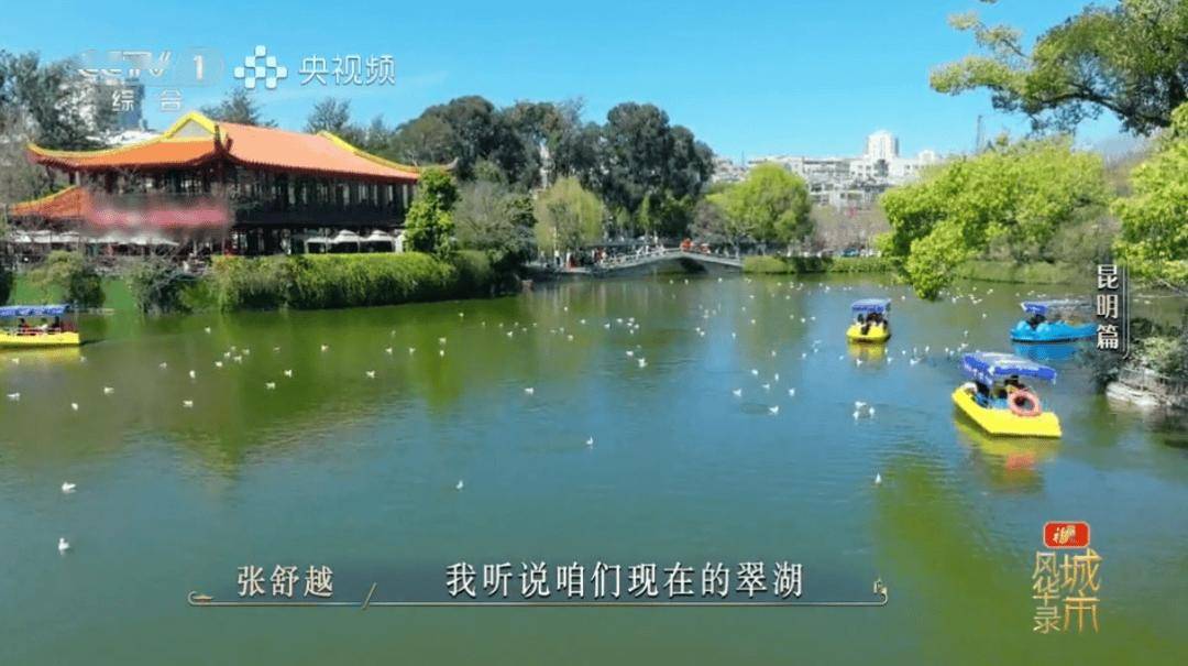 板扎！央视一套黄金时段86分钟聚焦昆明！