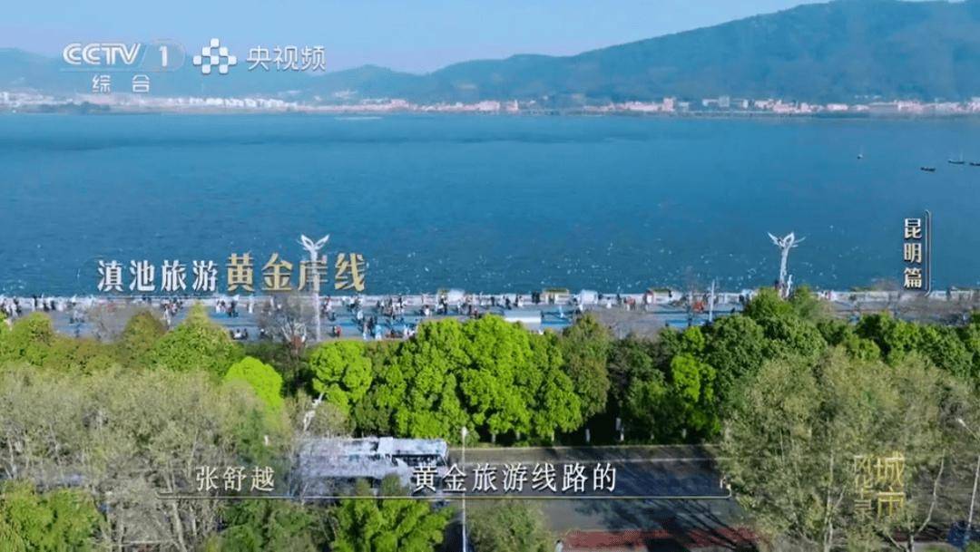 板扎！央视一套黄金时段86分钟聚焦昆明！