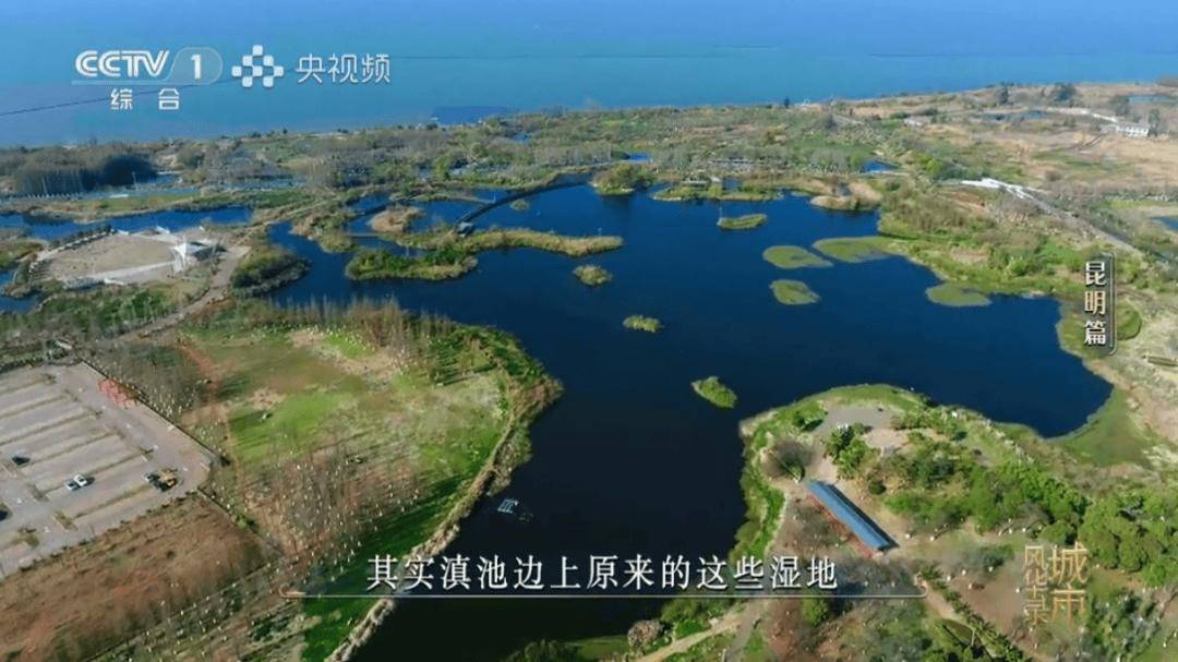 板扎！央视一套黄金时段86分钟聚焦昆明！