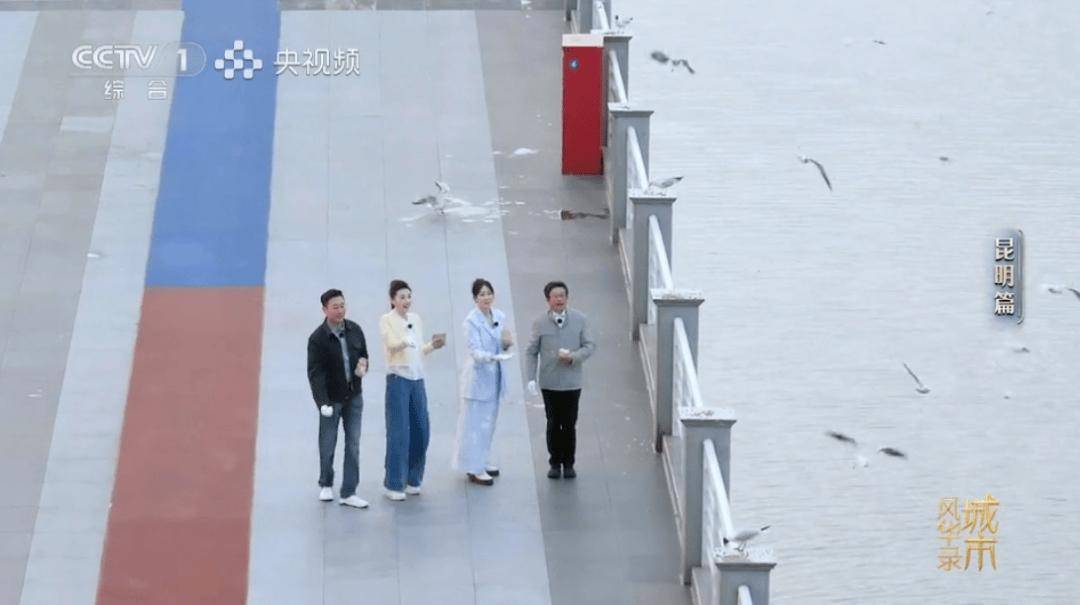 板扎！央视一套黄金时段86分钟聚焦昆明！
