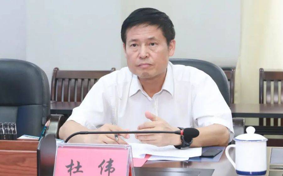 广西官宣：正厅级杜伟被查