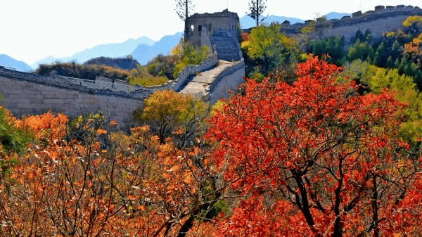 新一轮北京机动车尾号限行轮换即将开始;北京8条公交线路拟调整丨朝闻北京