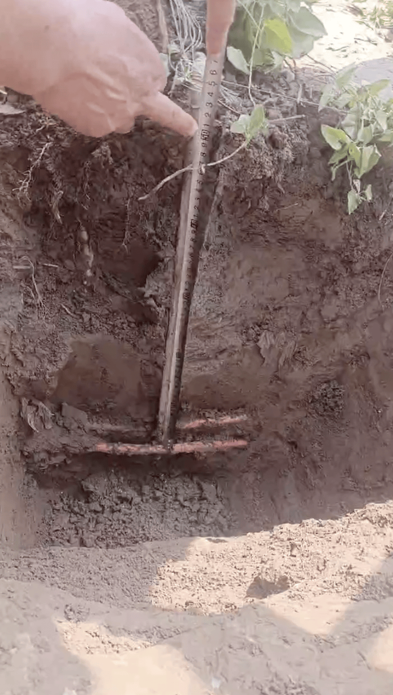 河南一对兄弟自家农田触电身亡,家属发声!当地:依法诉讼解决,绝不回避责任