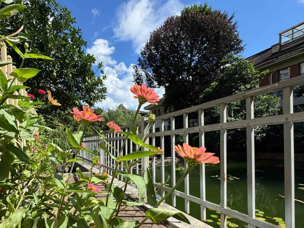 宁波人热得忍不住发问:怎么还没“入秋”?