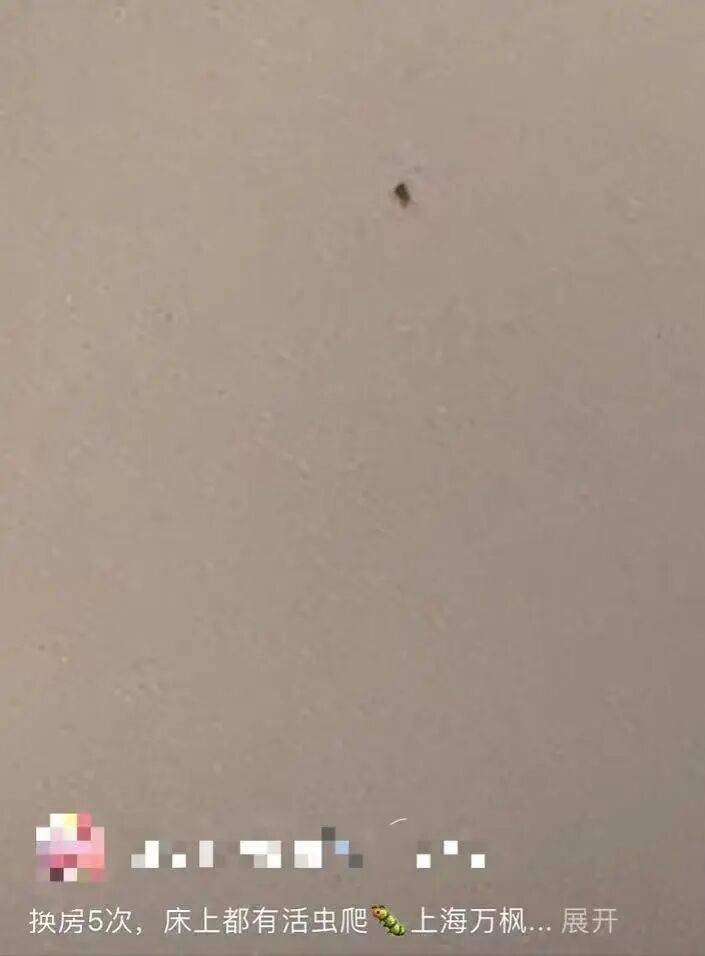 被投诉“连换5次房床上都有虫爬”,涉事高档酒店回应