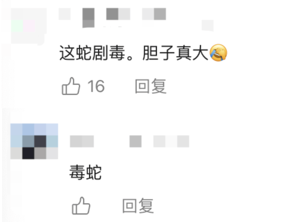 后怕！驴友爬山捡到幼蛇轮流抚摸，专家：有剧毒