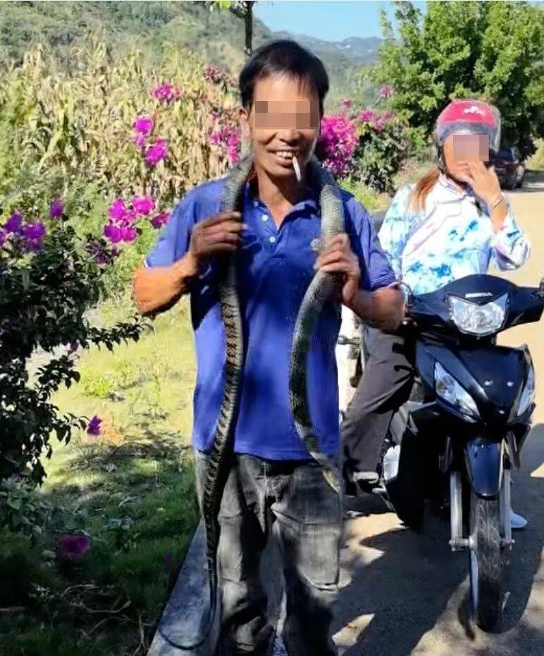 后怕！驴友爬山捡到幼蛇轮流抚摸，专家：有剧毒