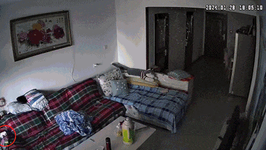 睡觉没拔充电器家被烧，“一两分钟火苗蹿到天花板”，当事人：损失十几万元