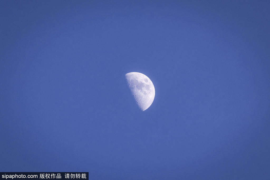 穆里尼奥向弗洛伦蒂诺递出“五大条件”，以“换掉平图斯”为核心回归皇家马德里？