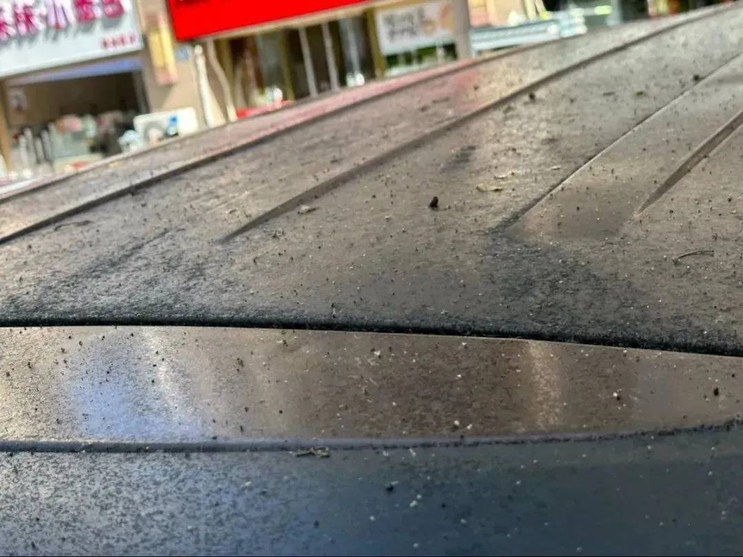 太恶心！上海街头大量出现！地上、车上、鞋上全都黏糊糊的！网友傻眼：根本擦不干净