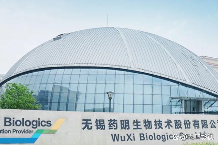 药明生物股票(无锡药明生物股票)