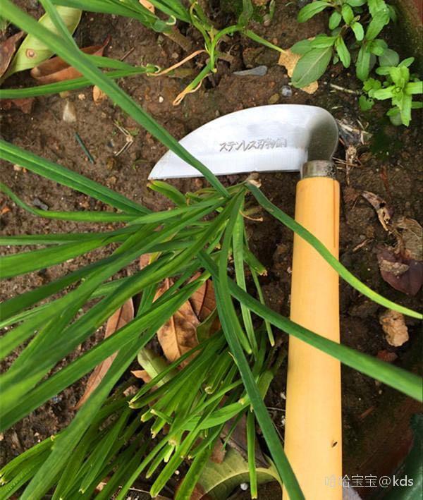 股票绿色是涨还是跌(股票灰色是好事还是坏事) 股票绿色是涨还是跌(股票灰色是好事还是坏事)