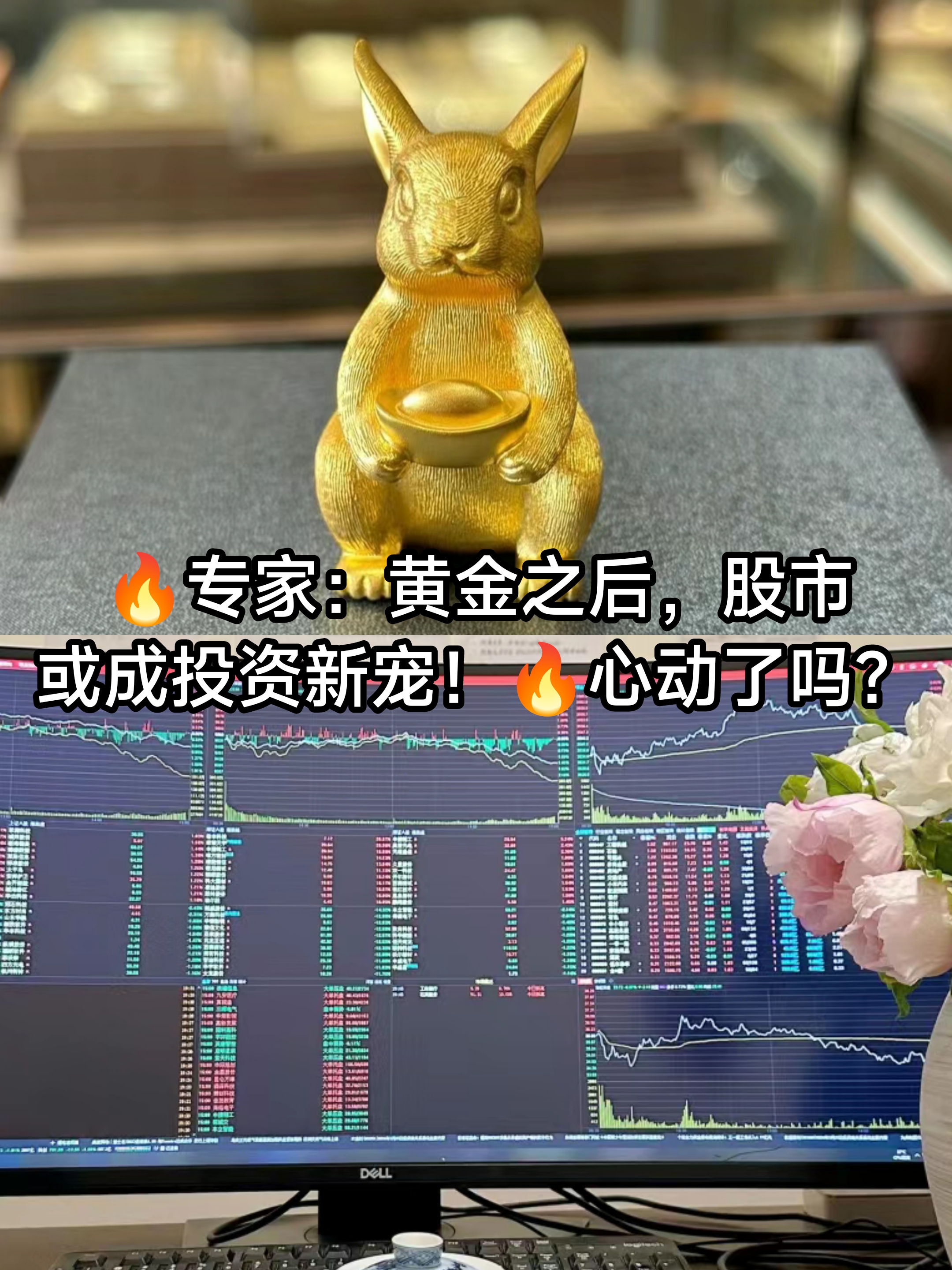 金龙鱼股票股吧(唯一被大摩重仓买入的股票是)